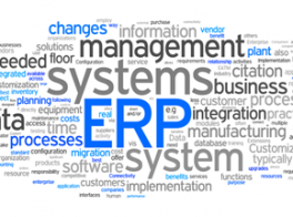 ERP for Telco Operator