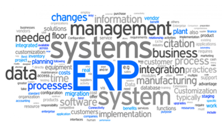 ERP for Telco Operator